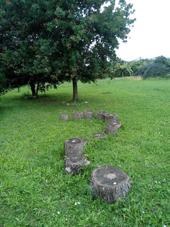 הוילה זביו Agriturismo Ca' Del Ferro מראה חיצוני תמונה