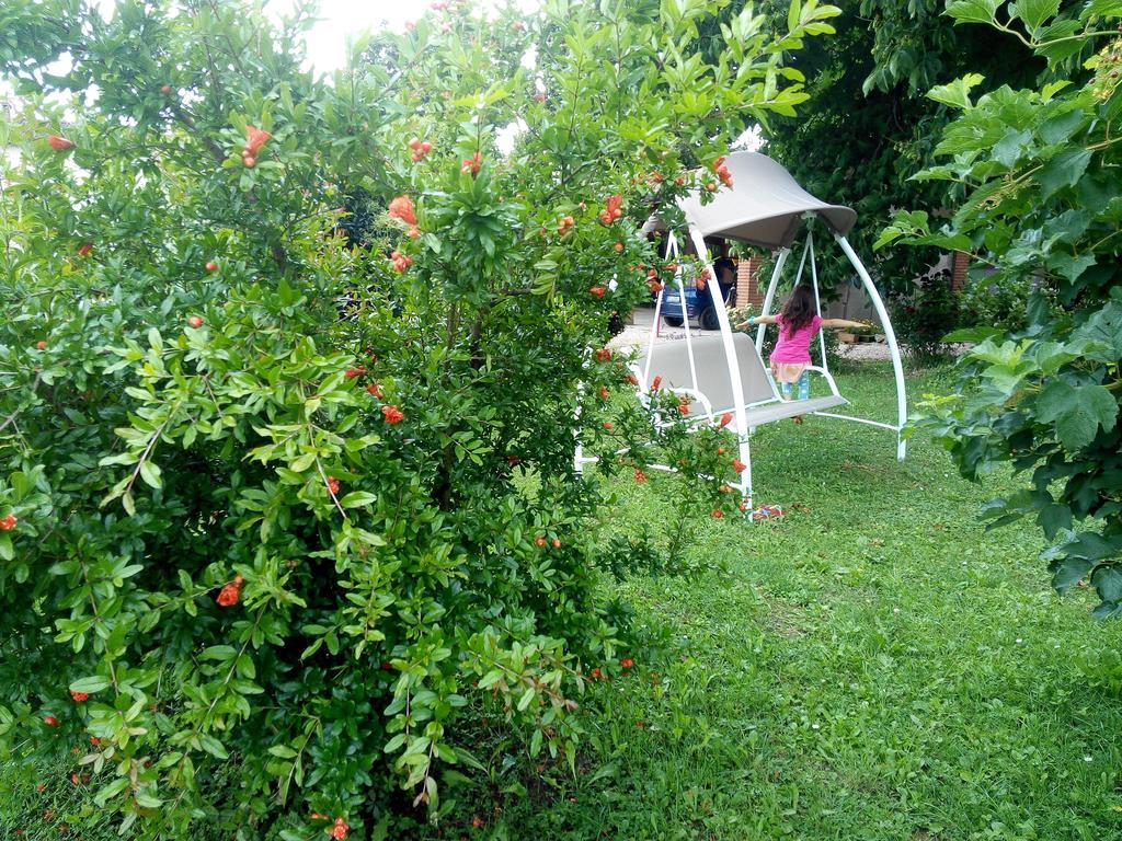 הוילה זביו Agriturismo Ca' Del Ferro מראה חיצוני תמונה